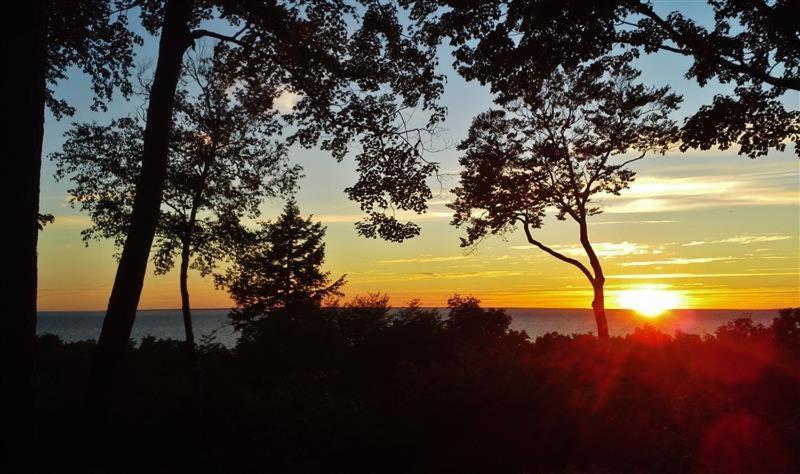 Pet-Friendly One Crow Cottage In Harbor Springs! Zewnętrze zdjęcie